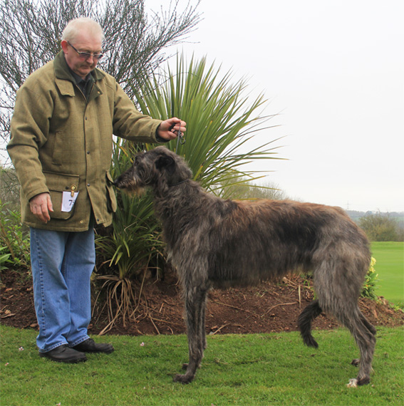 Regalflight Poacher at Leksmoor